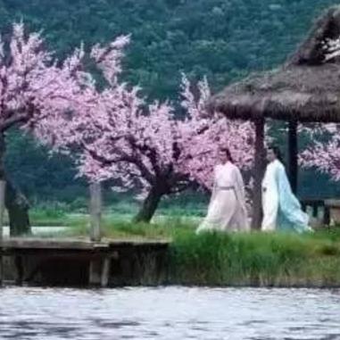 三生三世十里桃花手机版免费观看指南：全面解析观影流程和精彩剧情