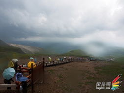 长白山最新消息今天：研究发现山顶植物适应力逐渐增强，生态环境持续改善。