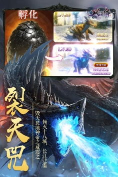 (风之剑舞官网)风之剑舞2024最新兑换码分享：获取最热门福利