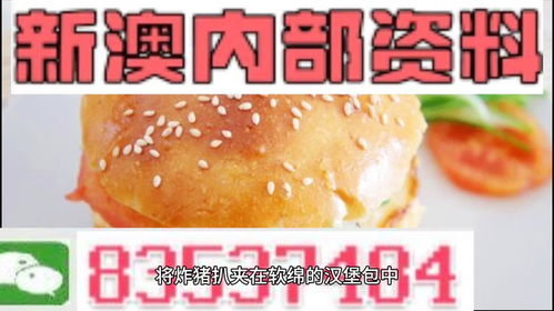 2024新澳精准正版资料免费大全|畅享生活的每一天_电子集.5.503