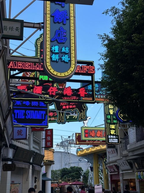 2024老奥历史开奖记录|探索神秘古镇的魅力与风情_创新版MIixue.4.32