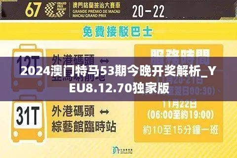2024年今晚澳门特马|准确资料解释落实_保养版.7.982
