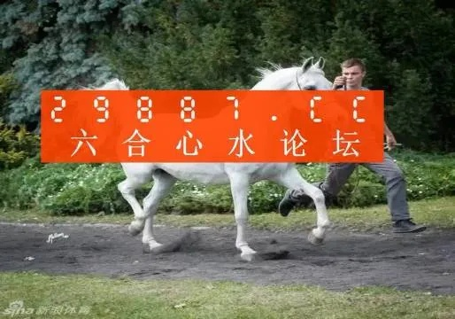 7777788888新版跑狗图论坛|探索生活中的智慧与灵感_日常版.0.258